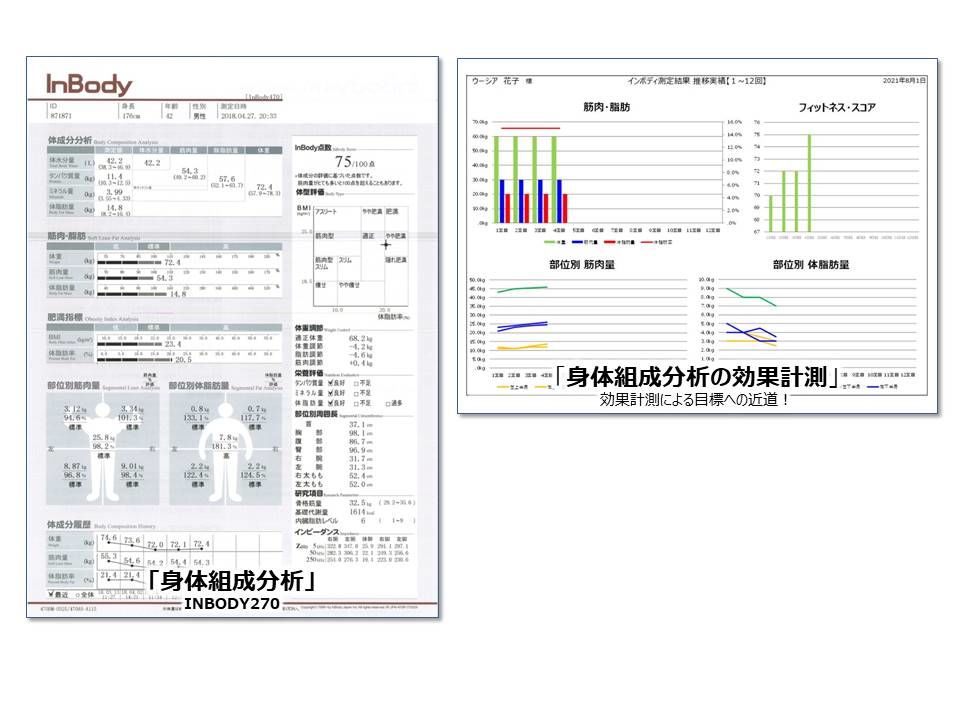 身体組成 分析＆効果計測